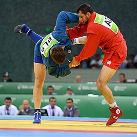 Sambo at the 2015 European Games 3